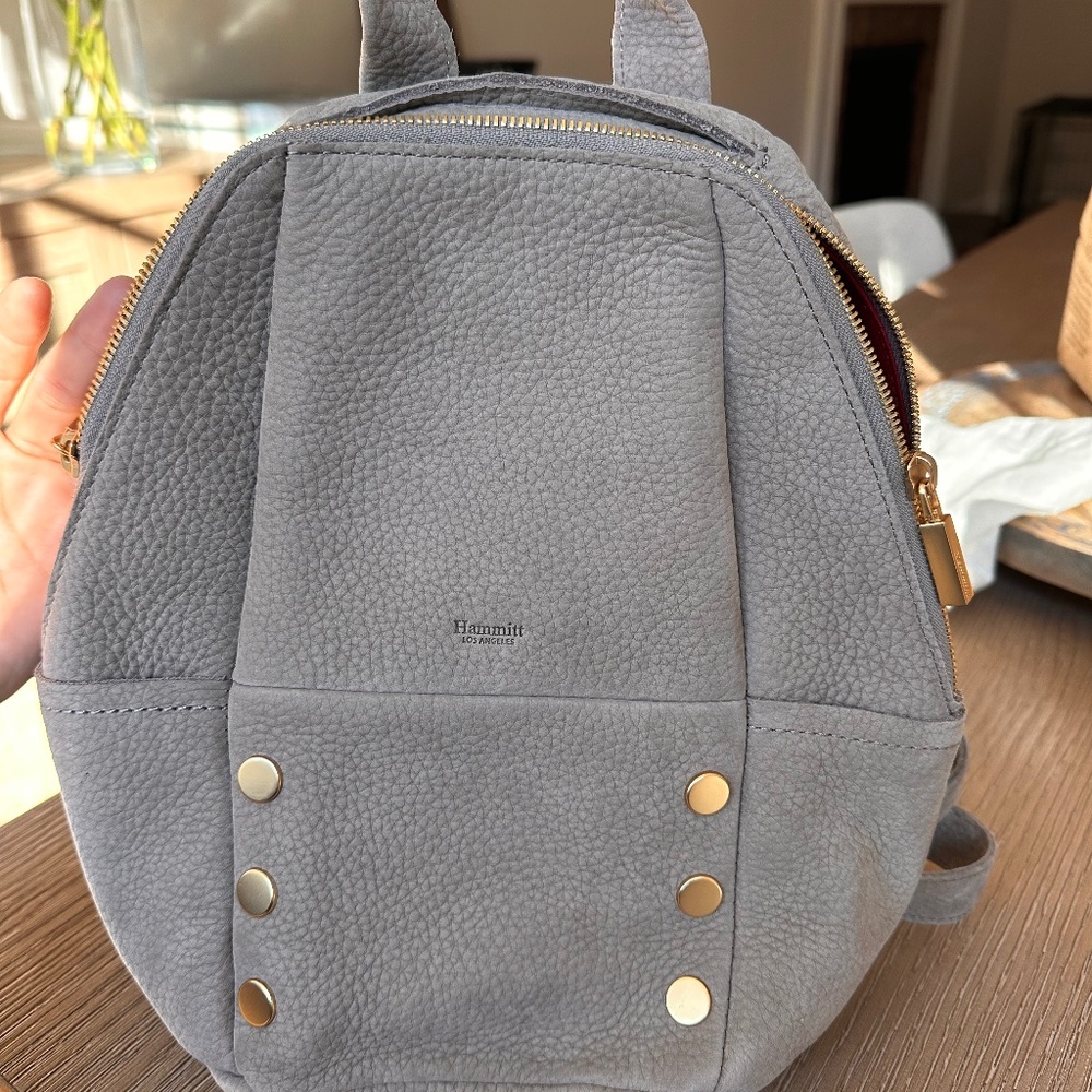 Hammitt Backpack COPY